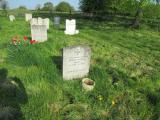 image of grave number 393810